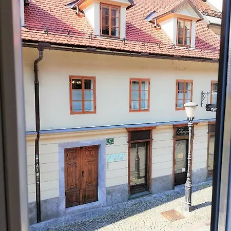 Gratitude & Harmony Wellstay In Old Ljubljana* Laibach